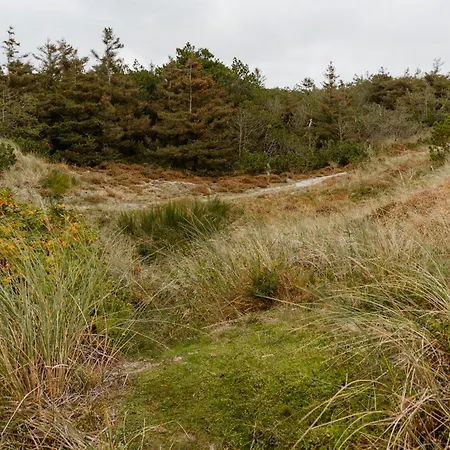 Casa de Férias View Of Nyminde Stream And Dunes Nymindegab