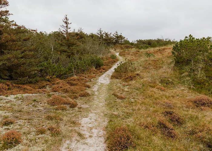 View Of Nyminde Stream And Dunes Casa vacanze Nymindegab