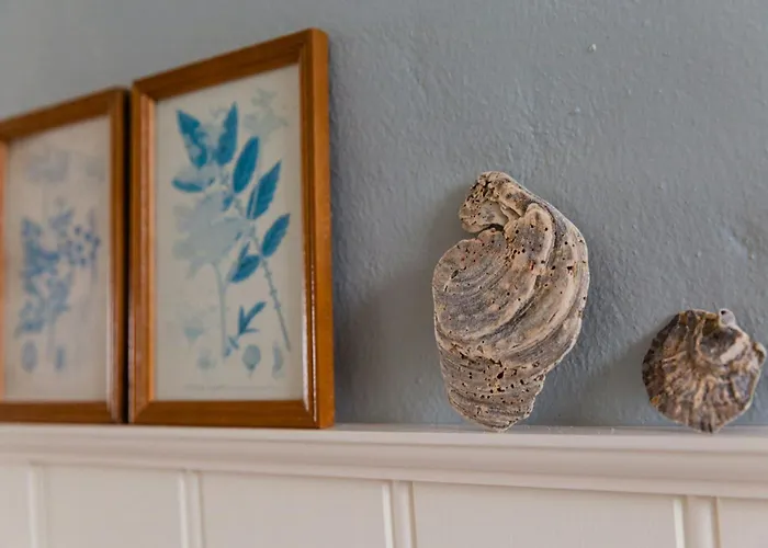 View Of Nyminde Stream And Dunes *