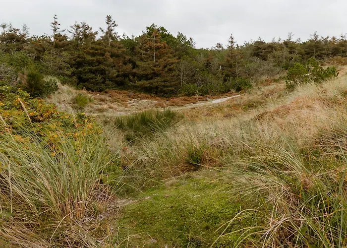 Casa vacanze View Of Nyminde Stream And Dunes Nymindegab